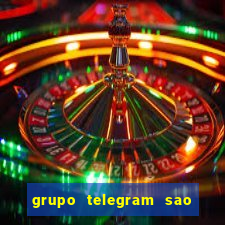 grupo telegram sao jose do rio preto